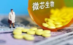 新手炒黄金老是亏损到底为什么