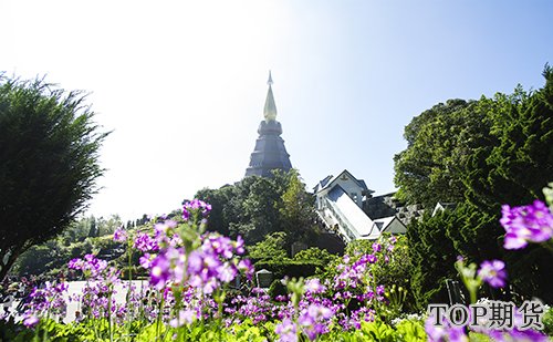 口罩扩产搅动产业链，丙烯价格疯涨两日翻倍