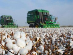 棉花基本面分析，影响棉花期货价格的主要因素有哪些？