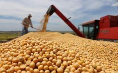 大豆基本面分析，影响大豆期货价格的主要因素有哪些？